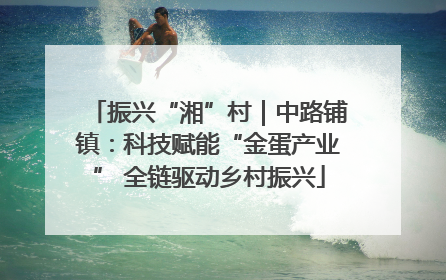 振兴“湘”村｜中路铺镇：科技赋能“金蛋产业” 全链驱动乡村振兴