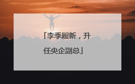李季履新，升任央企副总