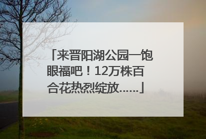 来晋阳湖公园一饱眼福吧！12万株百合花热烈绽放……