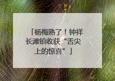杨梅熟了！钟祥长滩镇收获“舌尖上的惊喜”