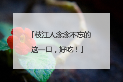 枝江人念念不忘的这一口，好吃！