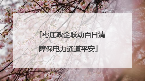 枣庄政企联动百日清障保电力通道平安