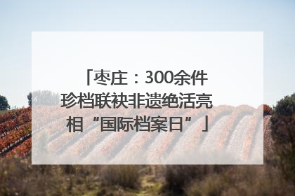 枣庄：300余件珍档联袂非遗绝活亮相“国际档案日”