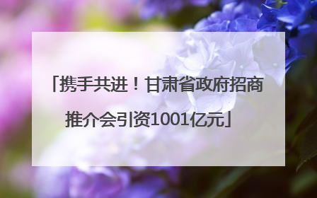 携手共进！甘肃省政府招商推介会引资1001亿元