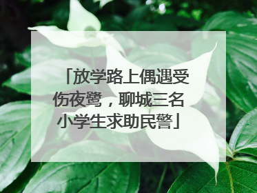 放学路上偶遇受伤夜鹭，聊城三名小学生求助民警