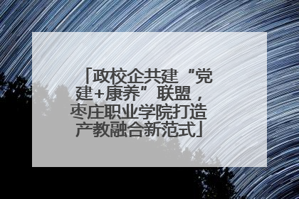 政校企共建“党建+康养”联盟，枣庄职业学院打造产教融合新范式