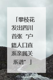 攀枝花发出四川首张“户籍人口直系亲属关系谱”