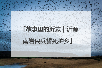 故事里的沂蒙｜沂源南岩民兵誓死护乡