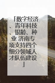 数字经济、青年科技、银龄、种业 济南专项支持四个细分领域人才队伍建设
