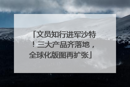 文员知行进军沙特！三大产品齐落地，全球化版图再扩张