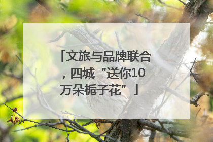 文旅与品牌联合，四城“送你10万朵栀子花”