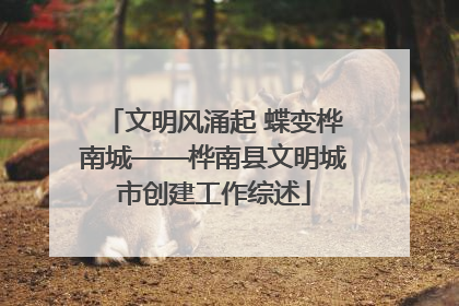 文明风涌起 蝶变桦南城——桦南县文明城市创建工作综述
