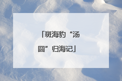 斑海豹“汤圆”归海记
