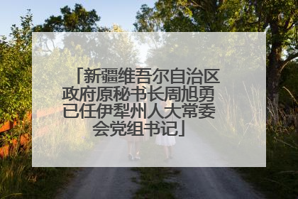 新疆维吾尔自治区政府原秘书长周旭勇已任伊犁州人大常委会党组书记