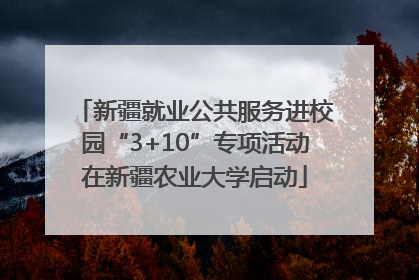 新疆就业公共服务进校园“3+10”专项活动在新疆农业大学启动