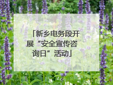 新乡电务段开展“安全宣传咨询日”活动