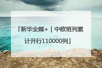 新华全媒+｜中欧班列累计开行110000列