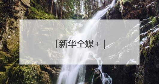 新华全媒+｜全力抢收夏粮 确保颗粒归仓