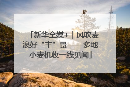 新华全媒+｜风吹麦浪好“丰”景——多地小麦机收一线见闻