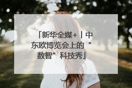 新华全媒+丨中东欧博览会上的“数智”科技秀