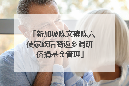 新加坡陈文确陈六使家族后裔返乡调研侨捐基金管理