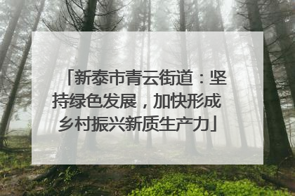新泰市青云街道：坚持绿色发展，加快形成乡村振兴新质生产力