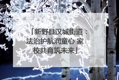 新野县汉城街道：法治护航润童心 家校共育筑未来