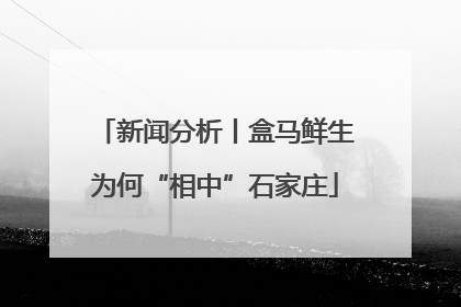 新闻分析丨盒马鲜生为何“相中”石家庄