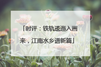 时评：铁轨逶迤入画来，江南水乡谱新篇