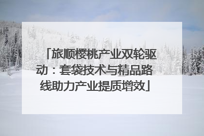 旅顺樱桃产业双轮驱动：套袋技术与精品路线助力产业提质增效