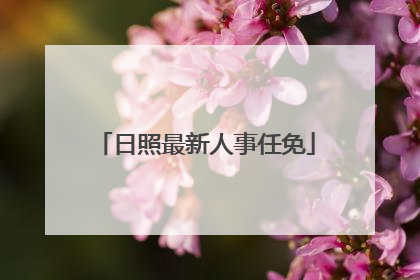 日照最新人事任免