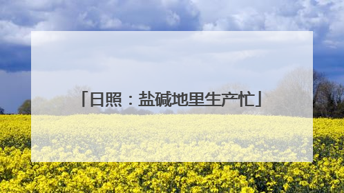 日照：盐碱地里生产忙