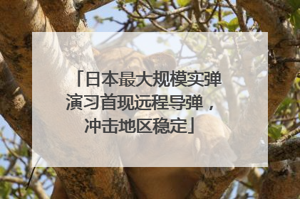 日本最大规模实弹演习首现远程导弹，冲击地区稳定