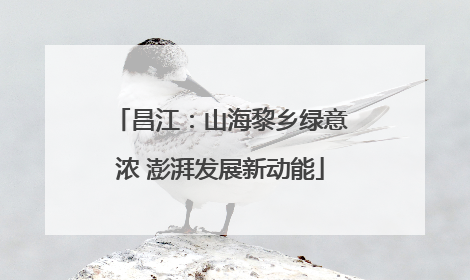 昌江：山海黎乡绿意浓 澎湃发展新动能