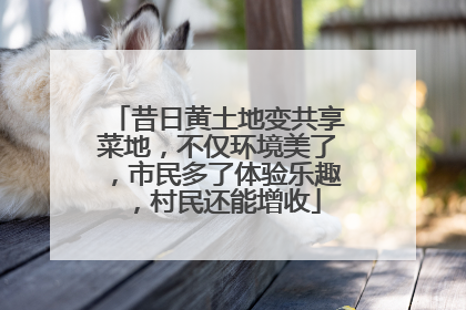 昔日黄土地变共享菜地，不仅环境美了，市民多了体验乐趣，村民还能增收