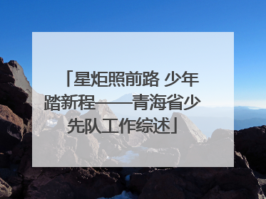 星炬照前路 少年踏新程——青海省少先队工作综述
