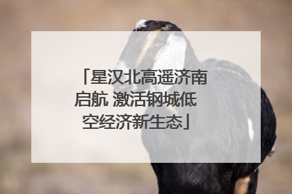 星汉北高遥济南启航 激活钢城低空经济新生态
