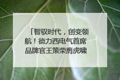 智驭时代，创变领航！德力西电气首席品牌官王策荣膺虎啸奖年度品牌人物