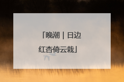 晚潮｜日边红杏倚云栽