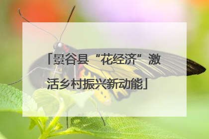 景谷县“花经济”激活乡村振兴新动能