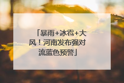 暴雨+冰雹+大风！河南发布强对流蓝色预警