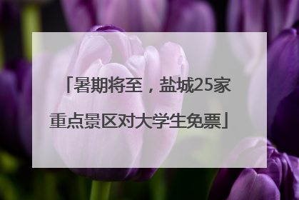 暑期将至，盐城25家重点景区对大学生免票