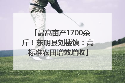 最高亩产1700余斤！东明县刘楼镇：高标准农田增效增收