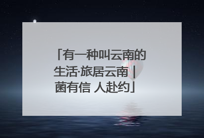有一种叫云南的生活·旅居云南｜菌有信 人赴约