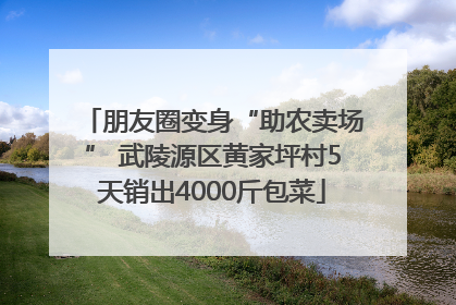 朋友圈变身“助农卖场” 武陵源区黄家坪村5天销出4000斤包菜