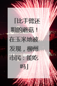 比手臂还粗的蘑菇！在玉米地被发现，柳州市民：能吃吗