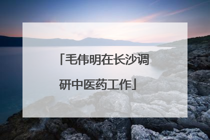 毛伟明在长沙调研中医药工作