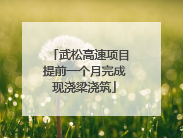 武松高速项目提前一个月完成现浇梁浇筑