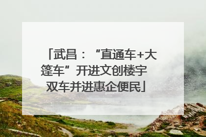 武昌：“直通车+大篷车”开进文创楼宇 双车并进惠企便民