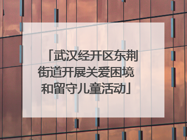 武汉经开区东荆街道开展关爱困境和留守儿童活动